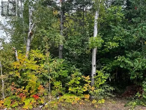 6 Shore Road Saugeen Shores ON N0H 2L0