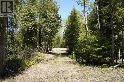Pt Lt 36 Walter Charman Drive Northern Bruce Peninsula ON N0H 2M0