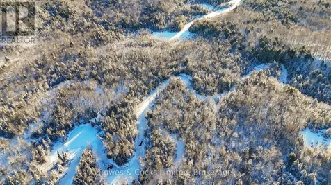 Pt Lt 32 Concession 6 North Kawartha ON K0L 1A0