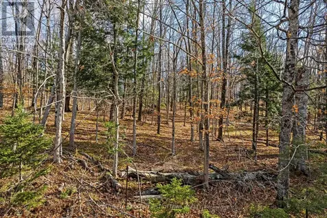 Pt 3-00 Herron Mills Road Lanark Highlands ON K0G 1K0
