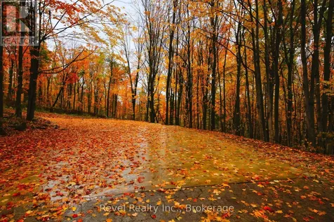 609669 12th Sideroad Blue Mountains ON L9Y 0P6