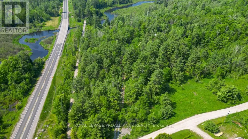 4 Wolf Lake Road Madoc ON K0K 1Y0