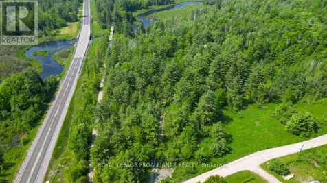 4 Wolf Lake Road Madoc ON K0K 1Y0
