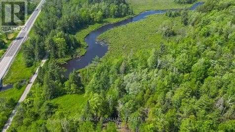 4 Wolf Lake Road Madoc ON K0K 1Y0