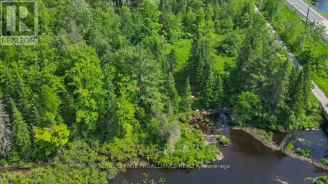 4 Wolf Lake Road Madoc ON K0K 1Y0