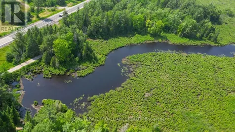 4 Wolf Lake Road Madoc ON K0K 1Y0