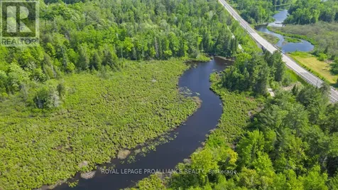 4 Wolf Lake Road Madoc ON K0K 1Y0