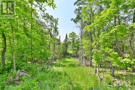 4 Wolf Lake Road Madoc ON K0K 1Y0