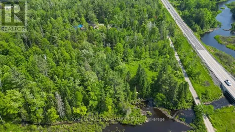 4 Wolf Lake Road Madoc ON K0K 1Y0