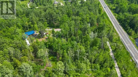 4 Wolf Lake Road Madoc ON K0K 1Y0