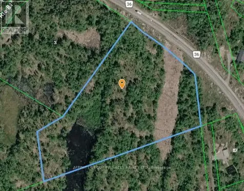 Lot 15 Concession 9 Trent Lakes ON K0L 1J0
