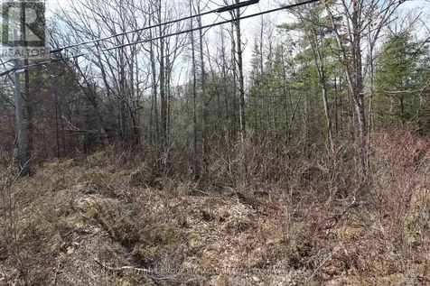 Lot 15 Concession 9 Trent Lakes ON K0L 1J0