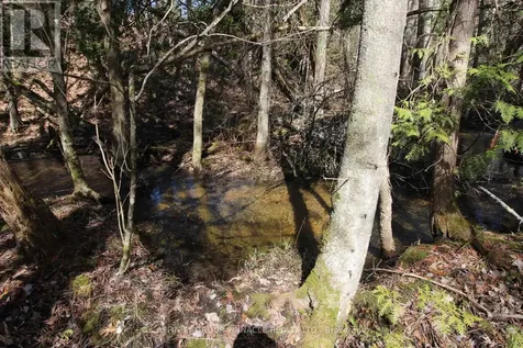 Lot 15 Concession 9 Trent Lakes ON K0L 1J0