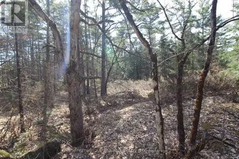 Lot 15 Concession 9 Trent Lakes ON K0L 1J0