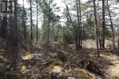 Lot 15 Concession 9 Trent Lakes ON K0L 1J0