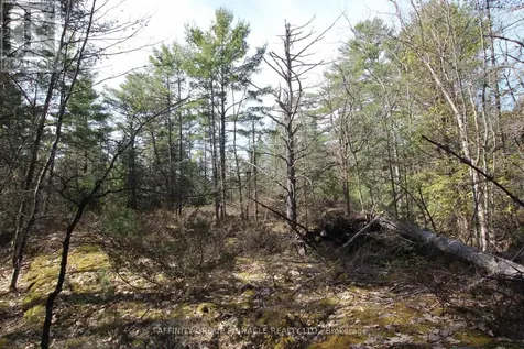 Lot 15 Concession 9 Trent Lakes ON K0L 1J0