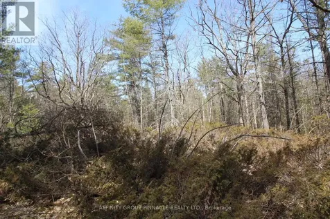 Lot 15 Concession 9 Trent Lakes ON K0L 1J0