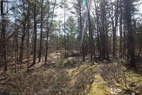 Lot 15 Concession 9 Trent Lakes ON K0L 1J0