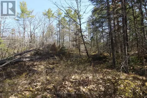 Lot 15 Concession 9 Trent Lakes ON K0L 1J0