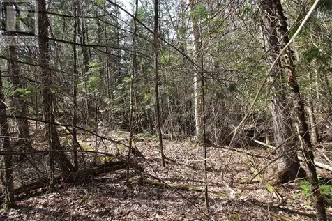Lot 15 Concession 9 Trent Lakes ON K0L 1J0