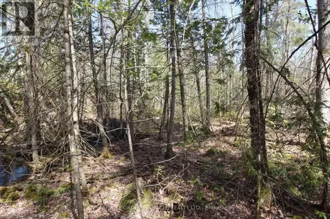 Lot 15 Concession 9 Trent Lakes ON K0L 1J0