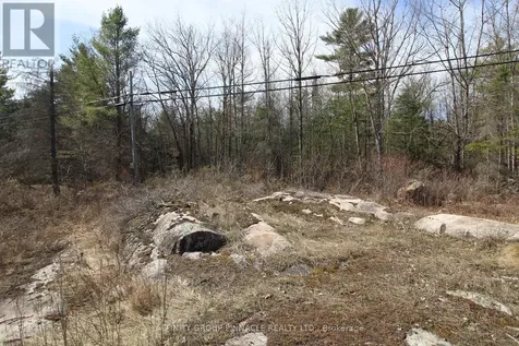 Lot 15 Concession 9 Trent Lakes ON K0L 1J0