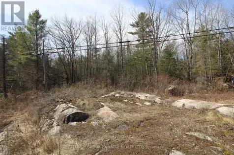 Lot 15 Concession 9 Trent Lakes ON K0L 1J0