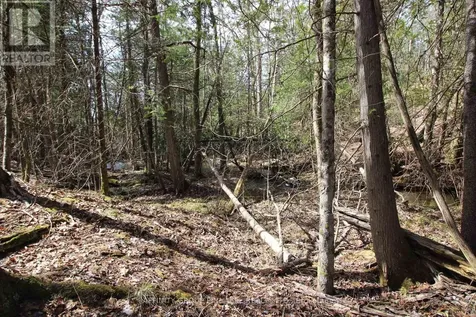 Lot 15 Concession 9 Trent Lakes ON K0L 1J0