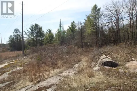 Lot 15 Concession 9 Trent Lakes ON K0L 1J0