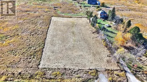 3142 County Road 50 Adjala-tosorontio ON L0G 1L0