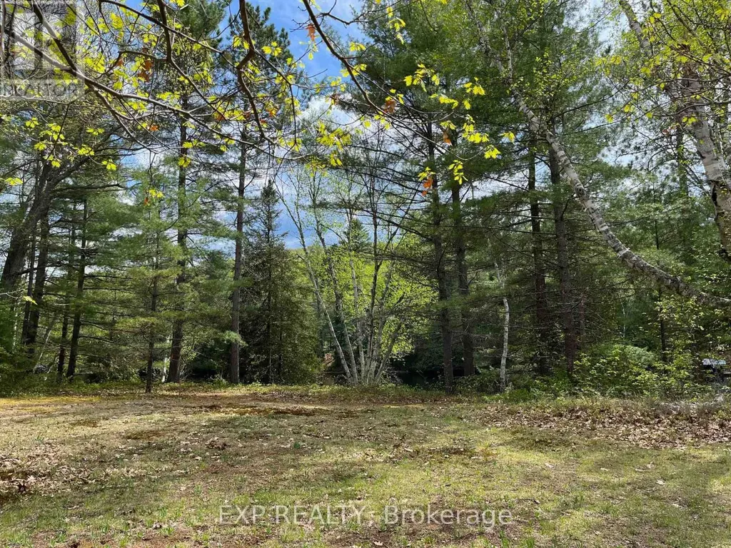 Lot 37 Sandy Shores Trail Madawaska Valley ON K0J 1B0