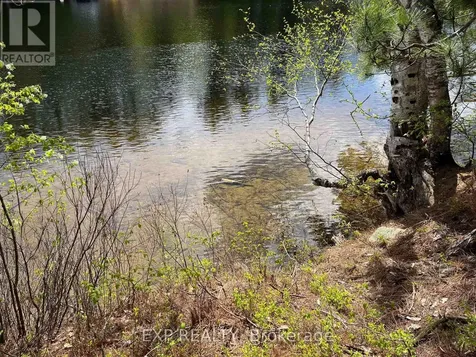 Lot 37 Sandy Shores Trail Madawaska Valley ON K0J 1B0