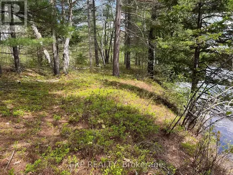 Lot 37 Sandy Shores Trail Madawaska Valley ON K0J 1B0