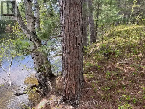Lot 37 Sandy Shores Trail Madawaska Valley ON K0J 1B0