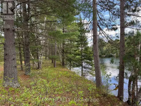 Lot 37 Sandy Shores Trail Madawaska Valley ON K0J 1B0