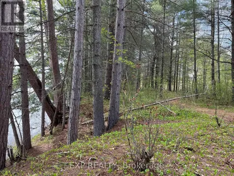 Lot 30 Sandy Shores Trail Madawaska Valley ON K0J 1B0