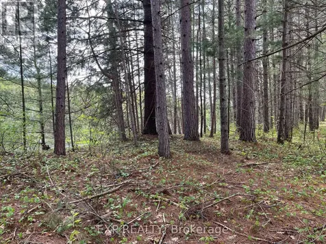 Lot 30 Sandy Shores Trail Madawaska Valley ON K0J 1B0