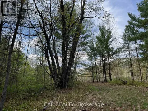 Lot 30 Sandy Shores Trail Madawaska Valley ON K0J 1B0