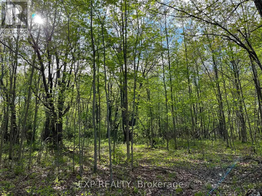 Lot 7 Casson Trail Madawaska Valley ON K0J 1B0