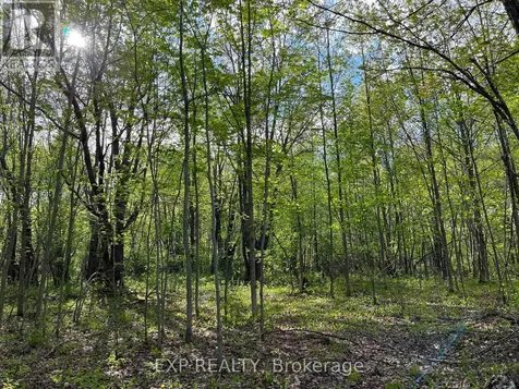 Lot 7 Casson Trail Madawaska Valley ON K0J 1B0