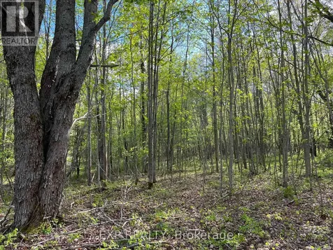 Lot 7 Casson Trail Madawaska Valley ON K0J 1B0