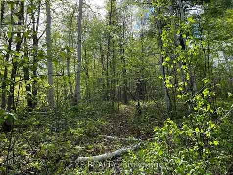Lot 7 Casson Trail Madawaska Valley ON K0J 1B0