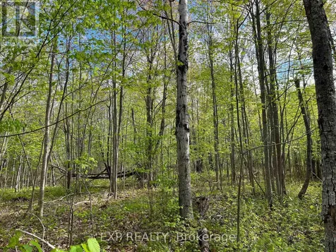 Lot 4 Sandy Shores Trail Madawaska Valley ON K0J 1B0