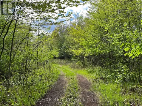 Lot 4 Sandy Shores Trail Madawaska Valley ON K0J 1B0