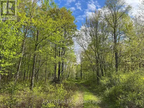 Lot 4 Sandy Shores Trail Madawaska Valley ON K0J 1B0