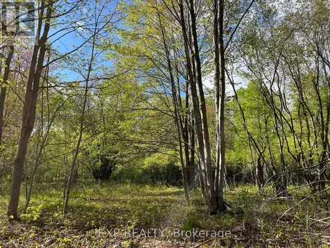 Lot 4 Sandy Shores Trail Madawaska Valley ON K0J 1B0