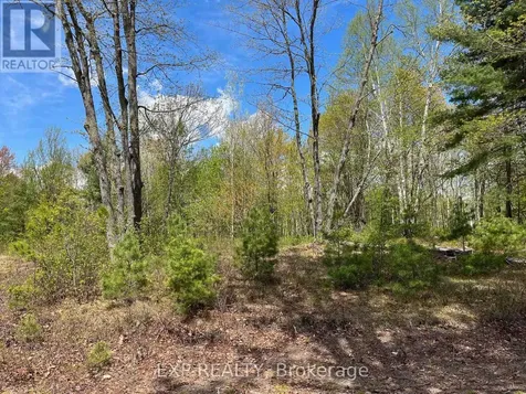 Lot 15 Sandy Shores Trail Madawaska Valley ON K0J 1B0