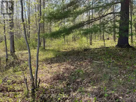 Lot 15 Sandy Shores Trail Madawaska Valley ON K0J 1B0