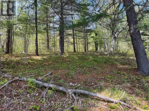 Lot 15 Sandy Shores Trail Madawaska Valley ON K0J 1B0
