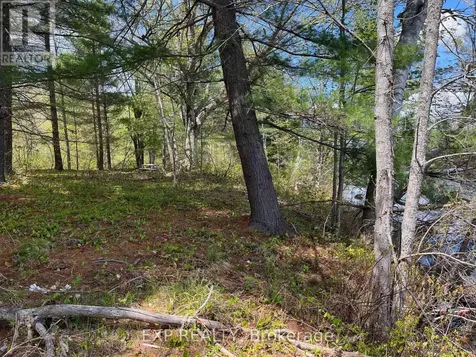 Lot 15 Sandy Shores Trail Madawaska Valley ON K0J 1B0